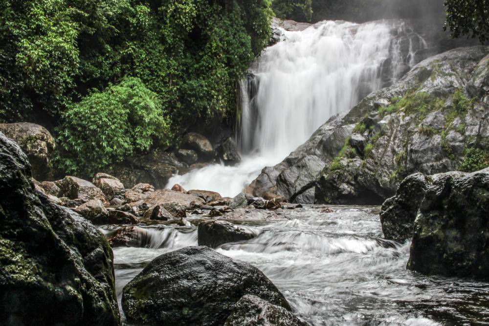 Munnar (17)